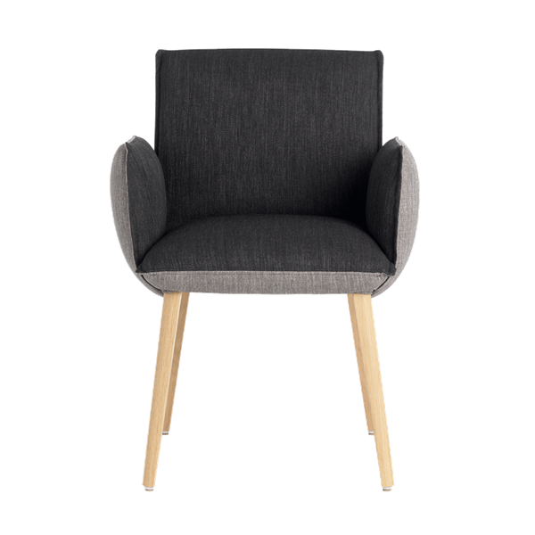 Chaise avec accoudoirs et pieds bois, bicolore